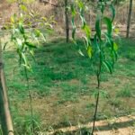 filter: 0; fileterIntensity: 0.0; filterMask: 0; module: h;
hw-remosaic: 0;
touch: (0.6875, 0.6875);
modeInfo: ;
sceneMode: SFHDR;
cct_value: 0;
AI_Scene: (16, -1);
aec_lux: 150.50845;
hist255: 0.0;
hist252~255: 0.0;
hist0~15: 0.0;