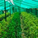 filter: 0; fileterIntensity: 0.0; filterMask: 0; module: h;
hw-remosaic: 0;
touch: (-1.0, -1.0);
modeInfo: ;
sceneMode: Auto;
cct_value: 0;
AI_Scene: (-1, -1);
aec_lux: 156.89679;
hist255: 0.0;
hist252~255: 0.0;
hist0~15: 0.0;